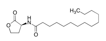 试剂N-TETRADECANOYL-L-HOMOSERINE LACTONE（储存“-20℃”；运输“干冰”) - 沃凯