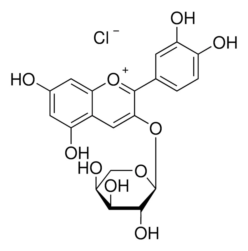 试剂CYANIDIN 3-ARABINOSIDE CHLORIDE(存储 “-20℃”;运输 “干冰”)