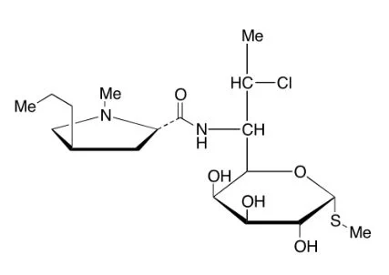试剂CLINDAMYCIN(储存“-20℃”;运输“干冰”)