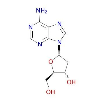 2’’-脱氧腺苷(储存“2-8℃”;运输“冰袋”)