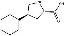 反式-4-环己基-L-脯氨酸 - 沃凯