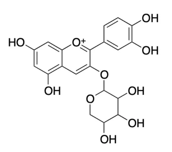 试剂CYANIDIN 3-O-ARABINOSIDE(储存“-20℃”；运输“冰袋”)
