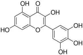 杨梅黄酮
