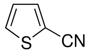 2-噻吩甲腈