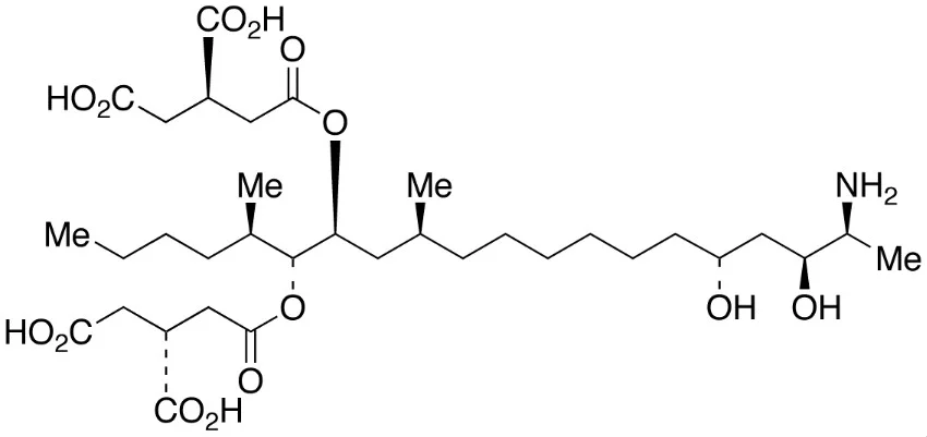 伏马毒素B250ΜG/ML乙腈:水=1:1溶液(储存“2-8℃”;运输“冰袋”)