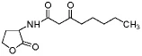 试剂N-(3-氧辛酰基)-DL-高丝氨酸内酯(存储 “-20℃”;运输 “冰袋”)