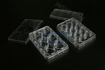 一次性细胞培养板 6孔 普通型,未表面处理,灭菌 - JET/洁特