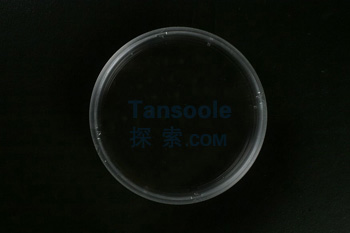 一次性细胞培养皿 90mm 55.0cm2,未表面处理,灭菌