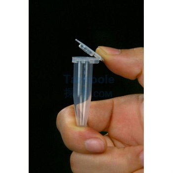 一次性易翻盖微量离心管 1.5ml 易掀盖型,锥形底,RCF25000xg,袋装,灭菌 - JET/洁特