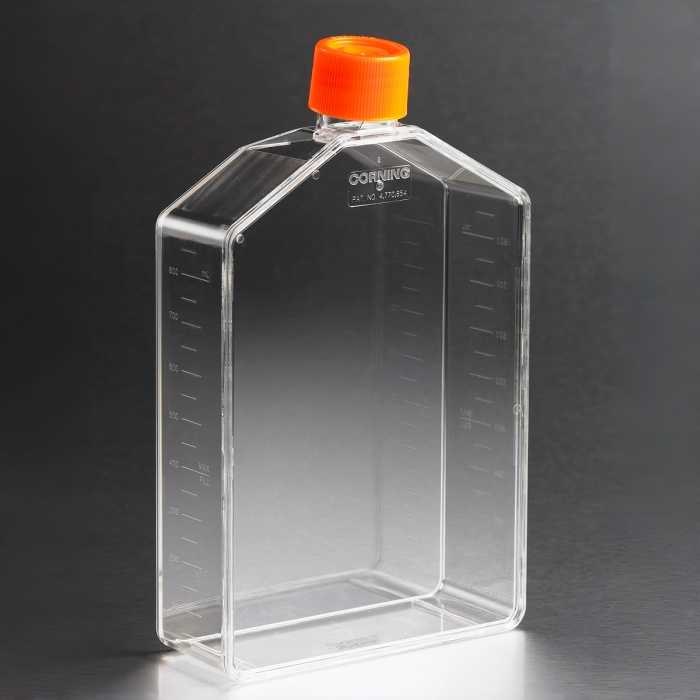 Corning 225 cm&sup2;角度颈细胞培养瓶，带密封盖