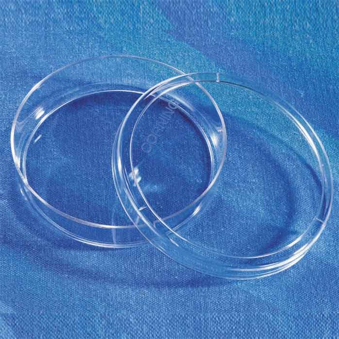 Corning 100 mm经TC处理培养皿
