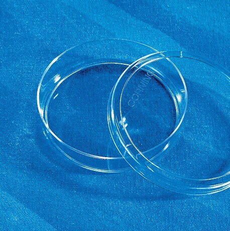 Corning 100 mm经TC处理培养皿，10个/包