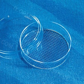 Corning 150 mm经TC处理培养皿