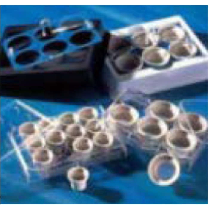 Corning 15 mm Netwell 小室，440&micro;m孔径聚酯膜，无菌