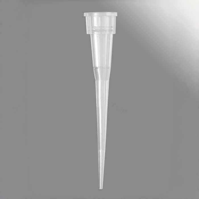 Axygen 10 &micro;L微量移液器吸头，不带滤芯，透明，无菌，盒装