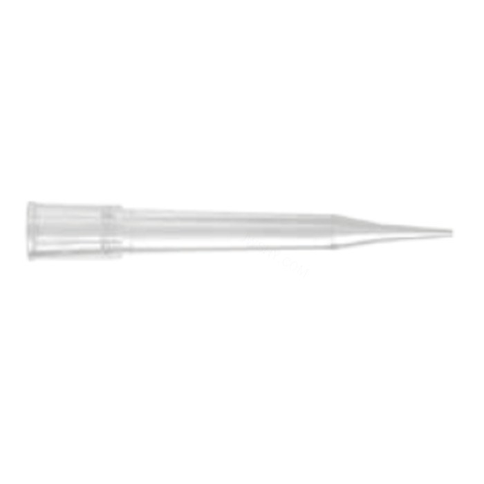 Axygen 300 &micro;L通用移液器吸头，超细尖端，非灭菌，透明，大包装