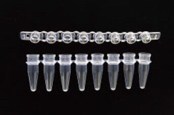 Axygen 0.2 mL聚丙烯PCR联排管，8联管，透明，非灭菌