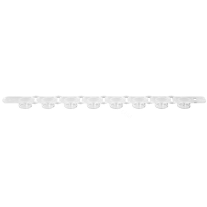 Axygen PCR 1 x 8圆顶联排管盖，适配0.2 mL PCR联排管，透明，非灭菌