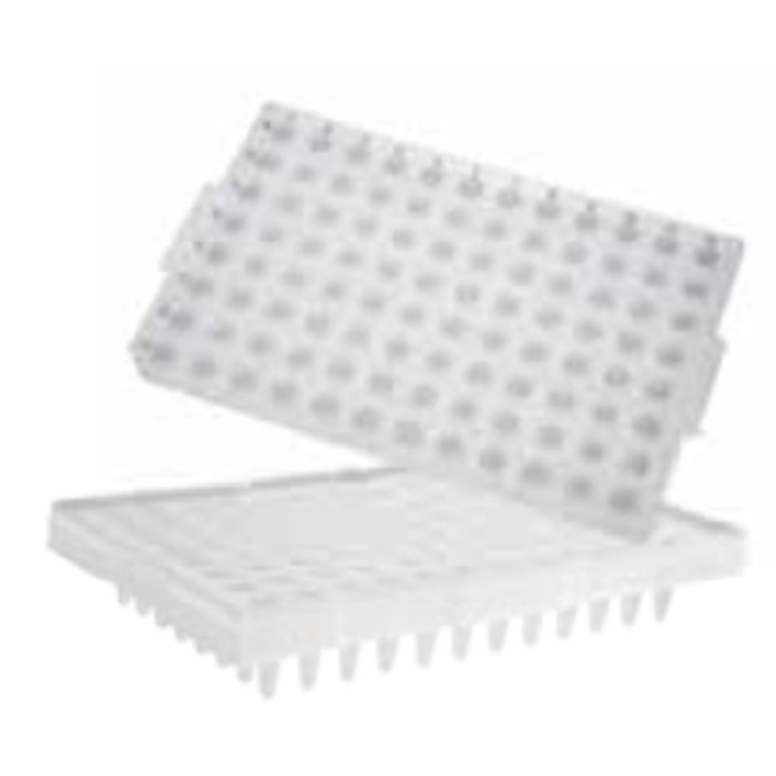 Axygen 96孔聚丙烯PCR微孔板，适用于ABI，半裙边，透明，非灭菌 - Axygen/爱思进