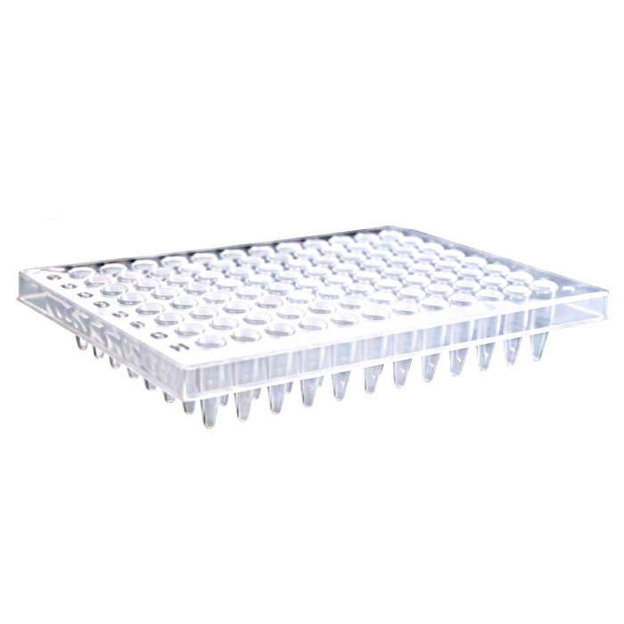 Axygen 96孔聚丙烯PCR微孔板，半裙边，透明，非灭菌