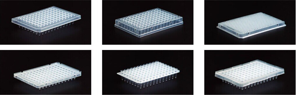 Axygen 384孔聚丙烯PCR微孔板，适用于ABI，全裙边，透明，非灭菌 - Axygen/爱思进