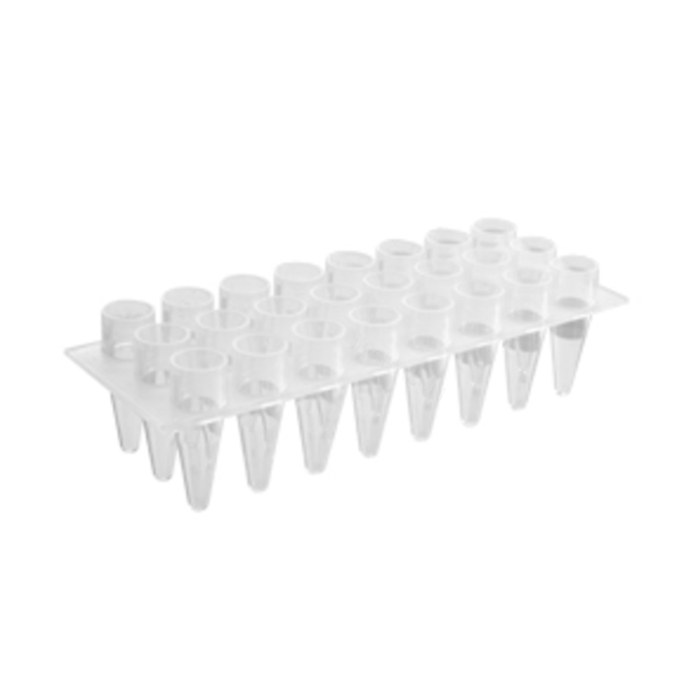 Axygen 24孔聚丙烯PCR微孔板，透明，非灭菌 - Axygen/爱思进