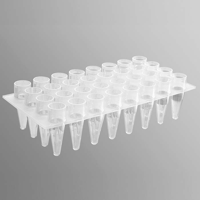 Axygen 32孔聚丙烯PCR微孔板，透明，非灭菌 - Axygen/爱思进