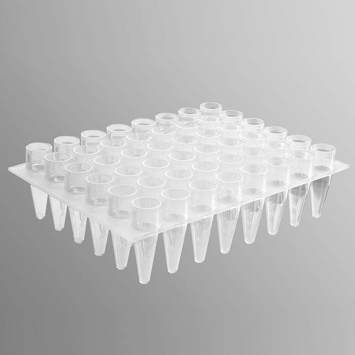 Axygen 48孔聚丙烯PCR微孔板，透明，非灭菌 - Axygen/爱思进