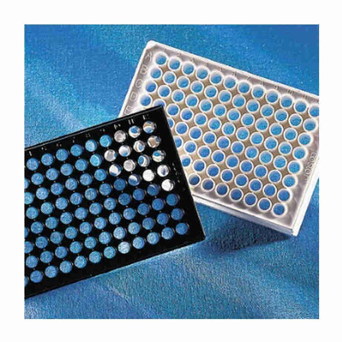 Corning 96孔黑色平底聚苯乙烯NBS微孔板，25个/袋，不带盖，非灭菌 - Corning/康宁