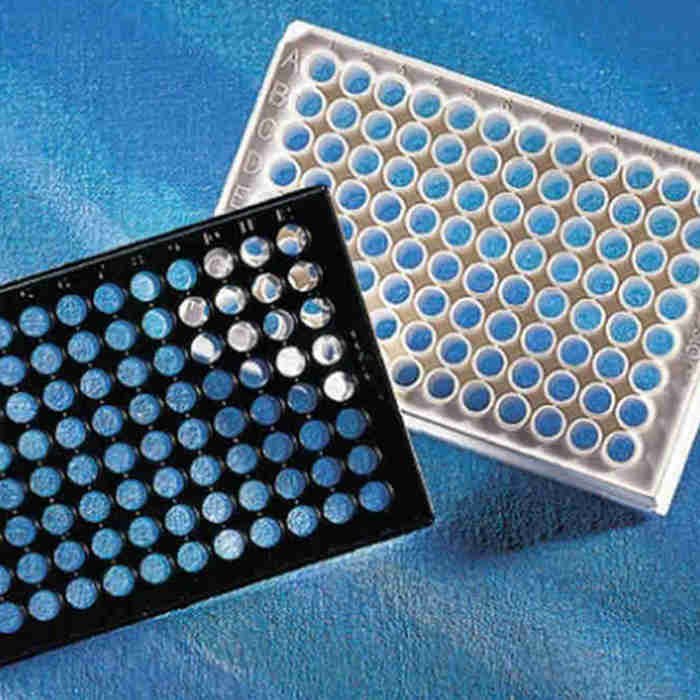 Corning 96孔白色平底聚苯乙烯微孔板，高结合力，25个/袋，不带盖，非灭菌
