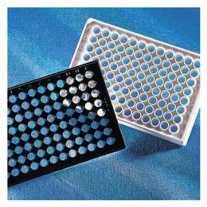 Corning 96孔黑色平底聚苯乙烯微孔板，高结合力，25个/袋，不带盖，非灭菌 - Corning/康宁