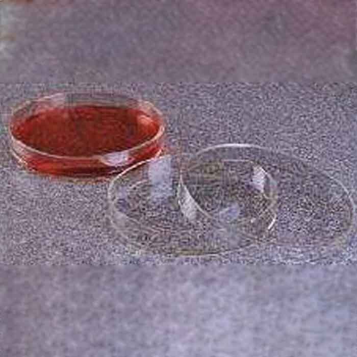 LPE 细菌培养皿，PMP，100&times;15mm
