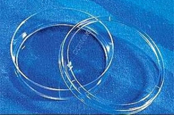 Corning 100 mm经TC处理培养皿
