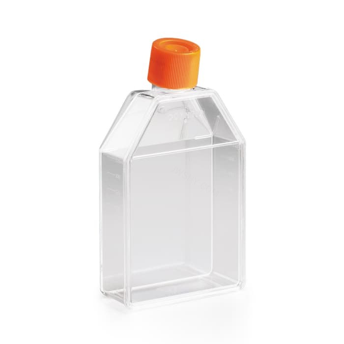 Corning 75cm&sup2;长方形斜颈细胞培养瓶，带聚酯盖