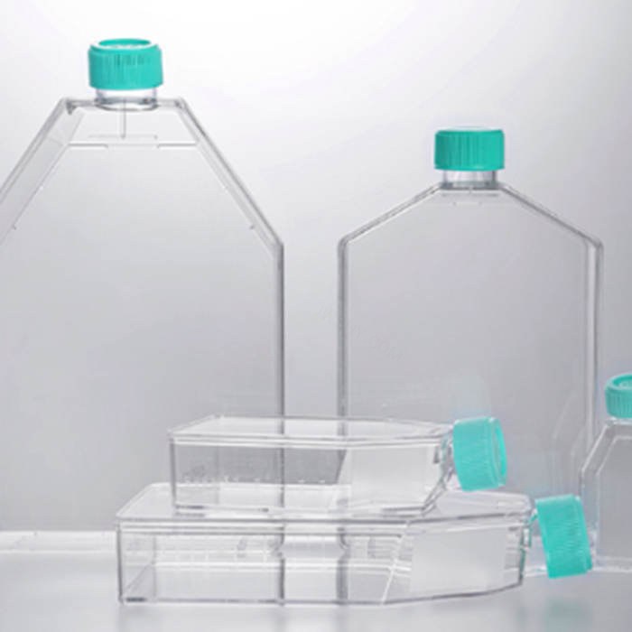 细胞培养瓶 300cm2/850ml 表面处理,滤膜盖