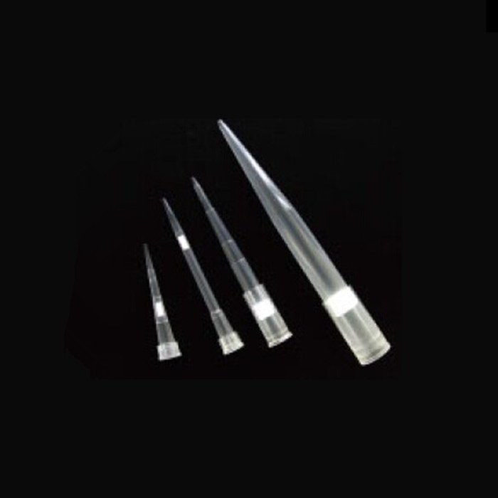 Axygen 20 &micro;L通用带滤芯吸头，带盒，透明，无菌，盒装，96个吸头/盒，10盒/包，5包/箱
