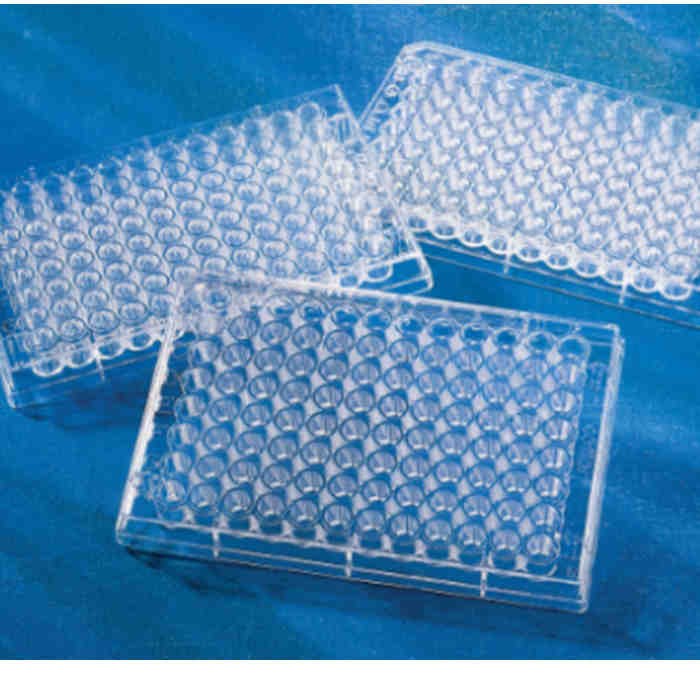 Corning 96孔EIA/RIA透明平底聚苯乙烯微孔板，高结合力，独立包装，不带盖，非灭菌