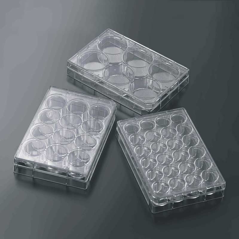 3D细胞培养支架 24孔 3D支架直径15mm,总培养面积120cm2,配24孔板,表面处理,灭菌 - JET/洁特