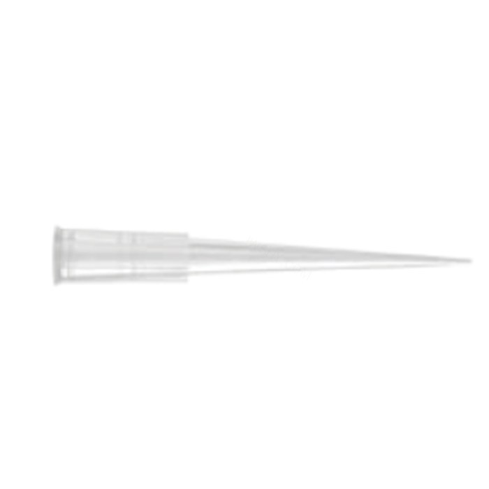 Axygen 200 &micro;L 低吸附 通用移液器吸头，斜尖，透明，无菌，盒装