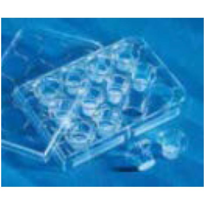 12 mm Transwell 0.4 &micro;m孔径聚碳酸酯膜小室，无菌