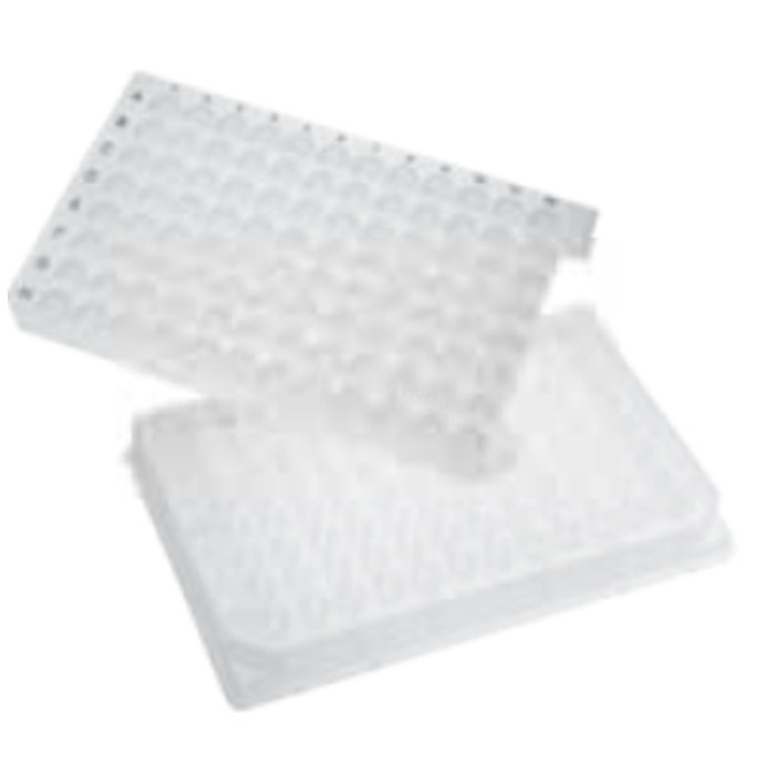 Axygen 96孔透明V形底500 &micro;L聚丙烯深孔板，10/包，非灭菌