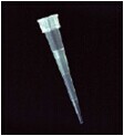 Axygen 20 &micro;L 低吸附 超微量移液器吸头，不带滤芯，透明，大包装，1000个吸头/包，20包/箱