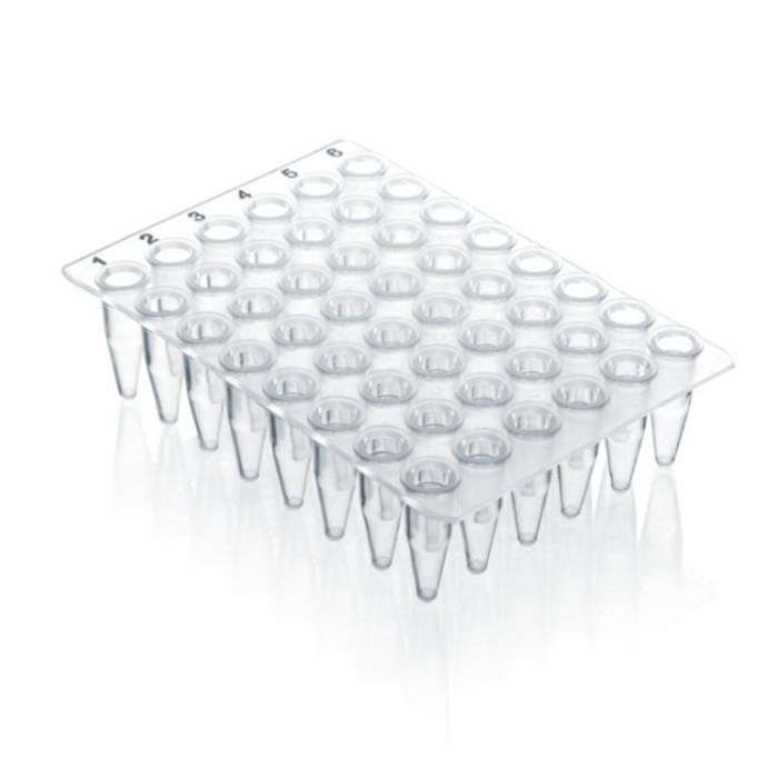 48孔PCR板 0.2ml PP材质 无裙边 透明 用于qPCR