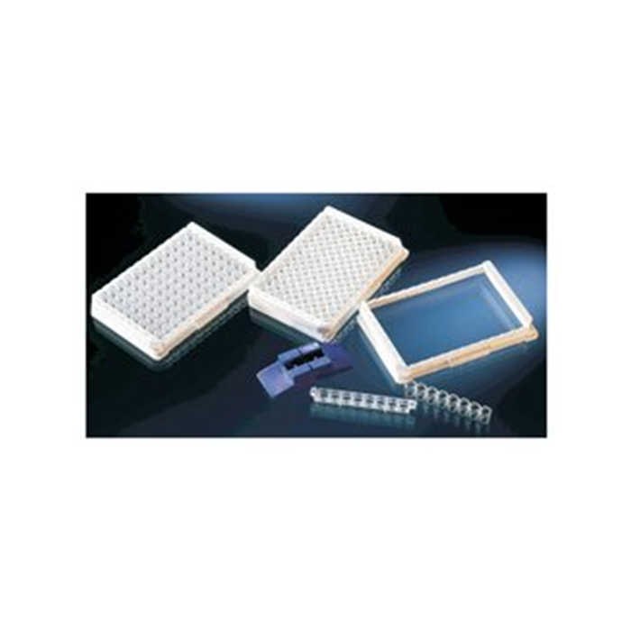 LPE 单孔可拆96孔透明微孔板，EB表面，12条，每条8孔 - Thermo Scientific