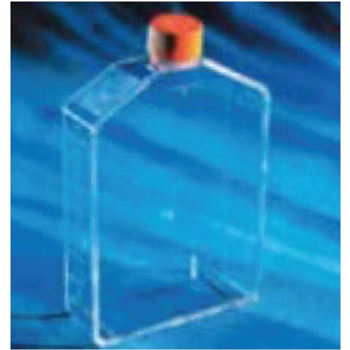Corning 225 cm&sup2;角度颈细胞培养瓶，带密封盖