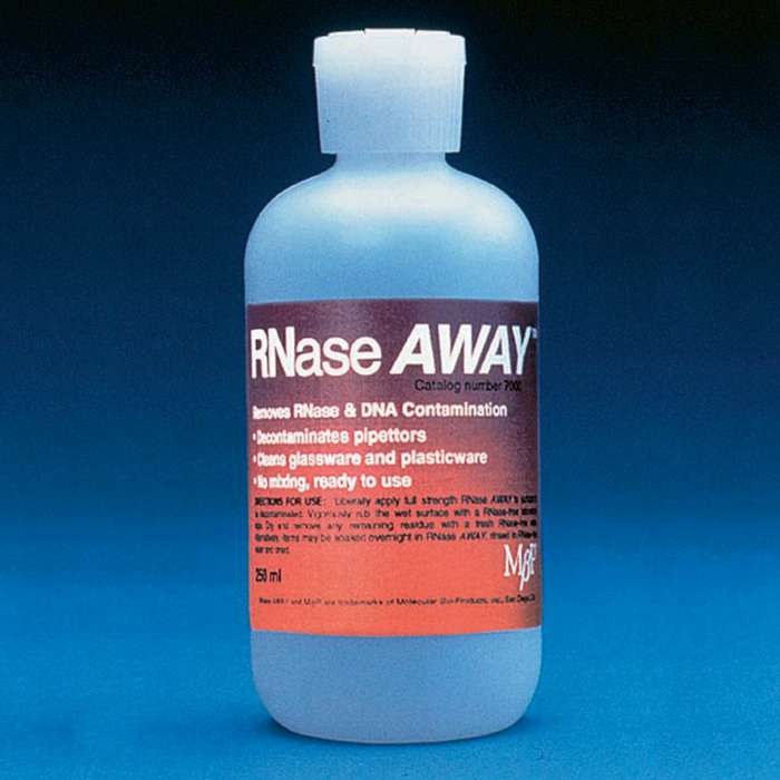 LPE RNASE AWAY瓶装,去酶水
