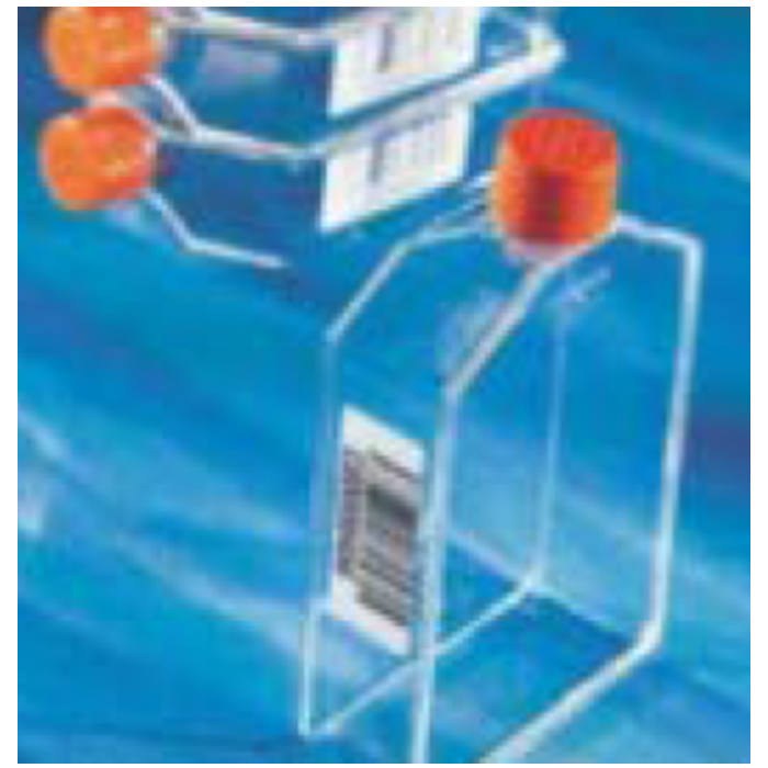 Corning 175cm&sup2; U-Shaped Angled Neck Not Treated Cell Culture Flask with Vent Cap - Corning/康宁