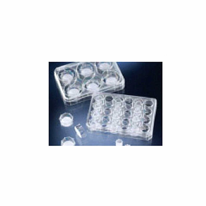 [CCP]Nunc嵌入式细胞培养皿，已灭菌，孔径大小，3um，建议工作容量，0.5ml - Nunc