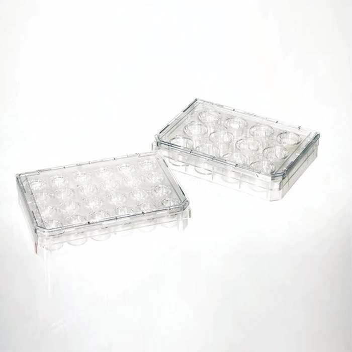 CCP24孔载板系统，3um，24个小室/板，4板/箱