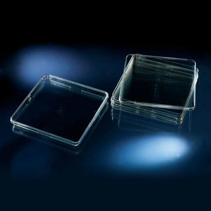 CCPNunc Bio-Assay培养皿，低外形